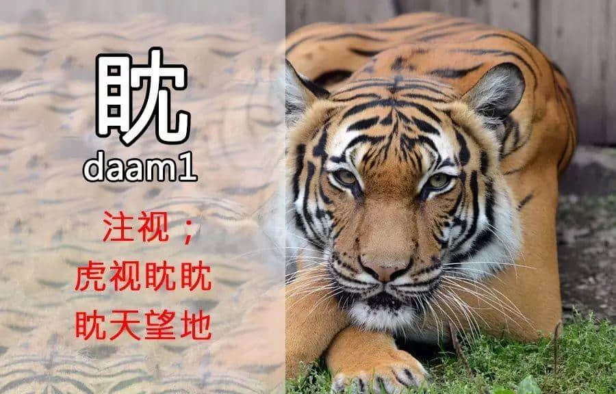 一個動作就可以“睇”出你嘅粵語造詣有幾深！