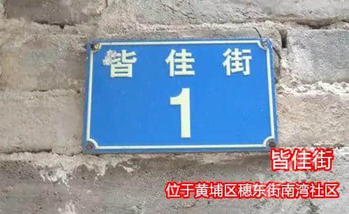 佛山新機(jī)場(chǎng)或命名為“珠西機(jī)場(chǎng)”？邊個(gè)起名咁“豬閪”！