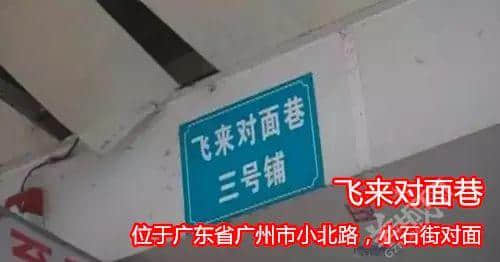 佛山新機(jī)場(chǎng)或命名為“珠西機(jī)場(chǎng)”？邊個(gè)起名咁“豬閪”！