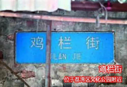 佛山新機(jī)場(chǎng)或命名為“珠西機(jī)場(chǎng)”？邊個(gè)起名咁“豬閪”！