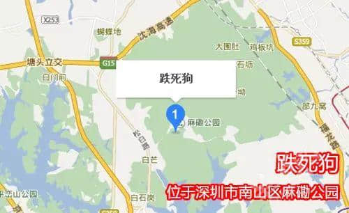 佛山新機(jī)場(chǎng)或命名為“珠西機(jī)場(chǎng)”？邊個(gè)起名咁“豬閪”！