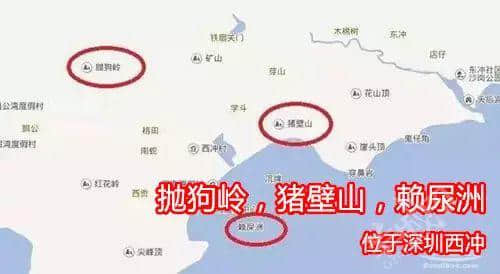 佛山新機(jī)場(chǎng)或命名為“珠西機(jī)場(chǎng)”？邊個(gè)起名咁“豬閪”！