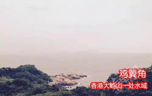 佛山新機(jī)場(chǎng)或命名為“珠西機(jī)場(chǎng)”？邊個(gè)起名咁“豬閪”！