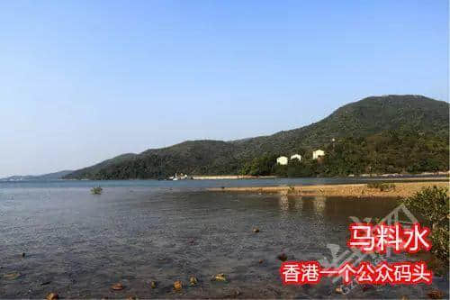 佛山新機(jī)場(chǎng)或命名為“珠西機(jī)場(chǎng)”？邊個(gè)起名咁“豬閪”！