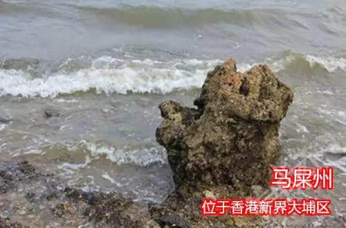 佛山新機(jī)場(chǎng)或命名為“珠西機(jī)場(chǎng)”？邊個(gè)起名咁“豬閪”！