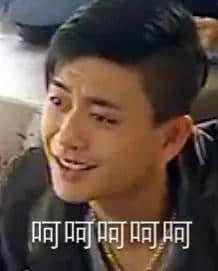 佛山新機(jī)場(chǎng)或命名為“珠西機(jī)場(chǎng)”？邊個(gè)起名咁“豬閪”！