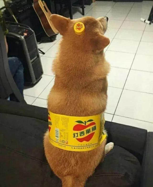人類，還返啲“尊嚴”畀我！