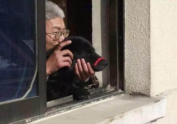 人類，還返啲“尊嚴”畀我！