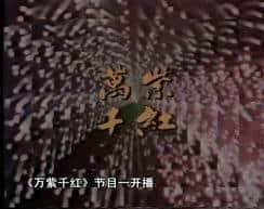 最好睇嘅廣東綜藝節(jié)目，喺你出世之前就已經(jīng)上演……
