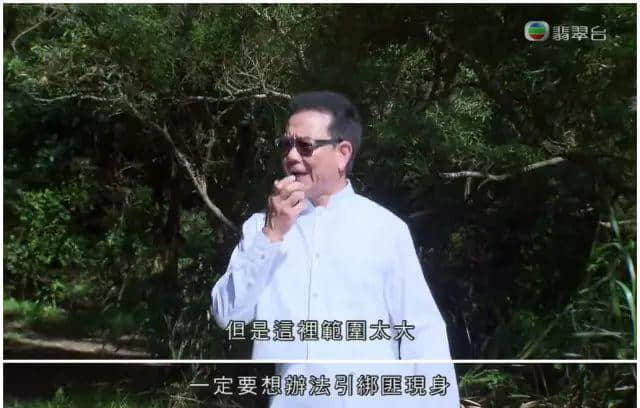 微信捉綁匪，黑社會(huì)賣奶粉，我越嚟越睇唔明依家嘅TVB！