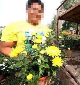 作為一只“狗”，我今日系咁過嘅！