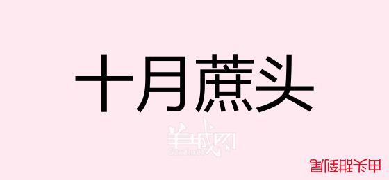 粵語(yǔ)問(wèn)答比賽下半場(chǎng)，你夠唔夠生鬼幽默？！