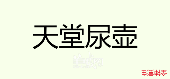 粵語(yǔ)問(wèn)答比賽下半場(chǎng)，你夠唔夠生鬼幽默？！