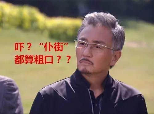 “仆街”都算粗口咩？