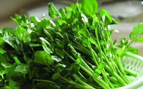 廣州數(shù)十萬(wàn)男子與「菜」相愛(ài)多年，毫不自知