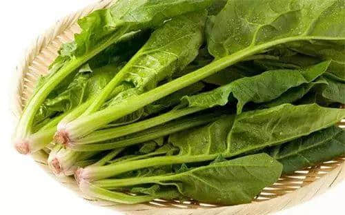 廣州數(shù)十萬(wàn)男子與「菜」相愛(ài)多年，毫不自知