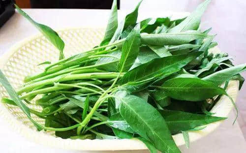 廣州數(shù)十萬(wàn)男子與「菜」相愛(ài)多年，毫不自知