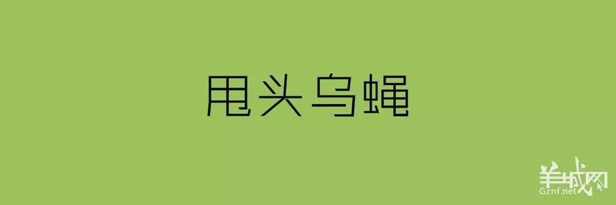 講粵語嘅人，最鐘意“指桑罵槐”！
