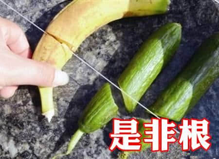 豉油粵語特輯，廣東人先睇得明嘅咸濕