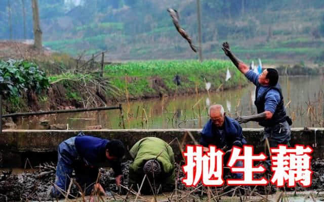 豉油粵語特輯，廣東人先睇得明嘅咸濕
