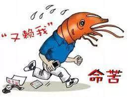 粵語(yǔ)嘅“內(nèi)涵”，出乎你想象