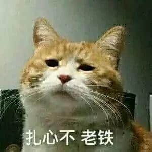 捉伊人、伏匿匿、摸盲盲，你系咪玩緊同一個(gè)游戲？