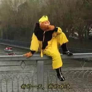 喪，從改花名開始！
