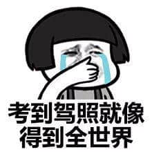 每個(gè)德藝雙馨嘅老司機(jī)，都有一段催人淚下嘅契弟時(shí)光
