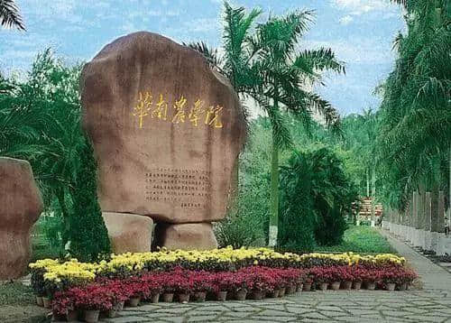 仲想逃離北上廣，行得出體育西先講啦！