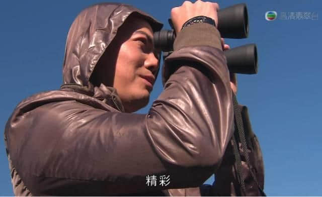 撞人撞期撞劇情，TVB先系史詩級“連環(huán)車禍”現(xiàn)場