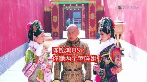 撞人撞期撞劇情，TVB先系史詩級“連環(huán)車禍”現(xiàn)場