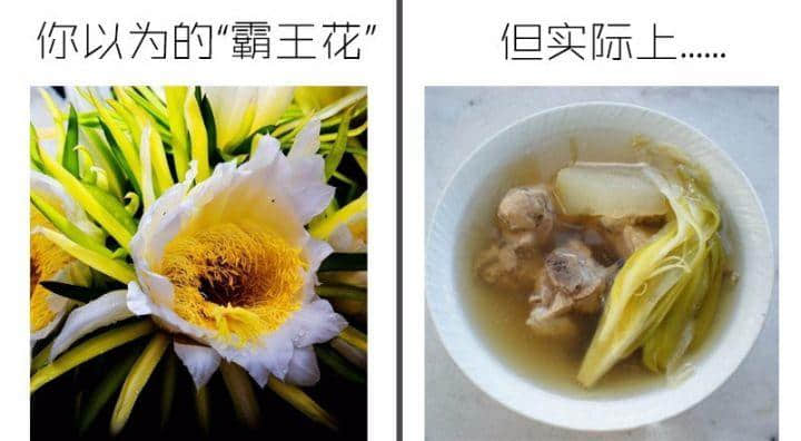 外地人如何假裝地道廣州人？
