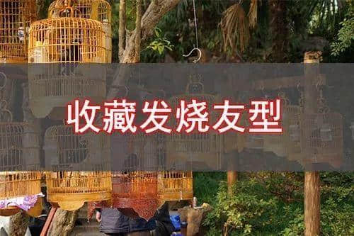 日日飲茶、錢使唔曬，廣州真系有咁嘅人