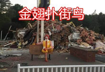 再見麥當(dāng)勞，你好金拱門！