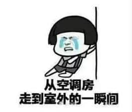 在廣東，你永遠不知道“冬天”和“明年”哪個先來