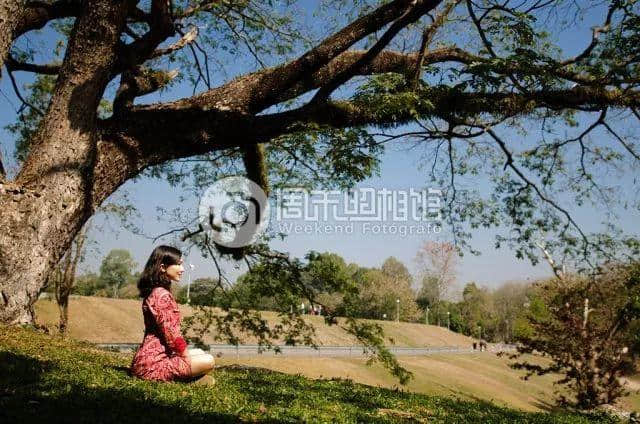 你的假期還可以這樣…… 你的假期還可以這樣……