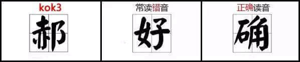 郝海東你都讀錯(cuò)，仲好意思日日嗌“好嗨凍”？