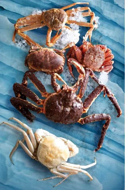 首間食蟹專門店進(jìn)駐廣州，野生美味強(qiáng)勢來襲！