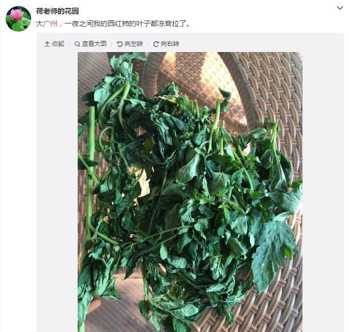 廣東人：我哋唔care有冇藍月，只求天氣回暖