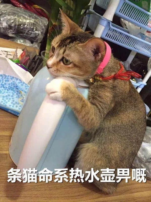 廣東人：我哋唔care有冇藍月，只求天氣回暖