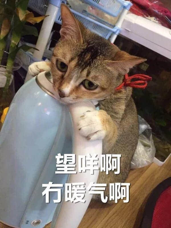 廣東人：我哋唔care有冇藍月，只求天氣回暖