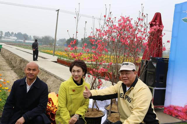 離廣佛最近的高山花海，情人節(jié)男朋友不帶你去就分手吧