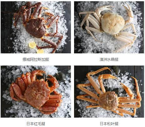 “蟹蟹你的愛(ài)”小蟹哥野生美味盛宴隆重開(kāi)席！