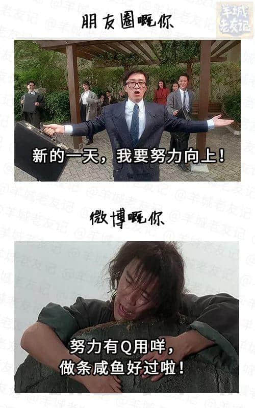 朋友圈，一個(gè)專門裝假狗嘅地方