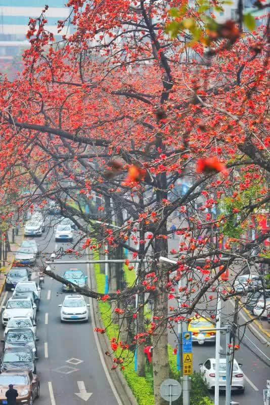 從前有個廣東阿媽，日日諗住點慳家