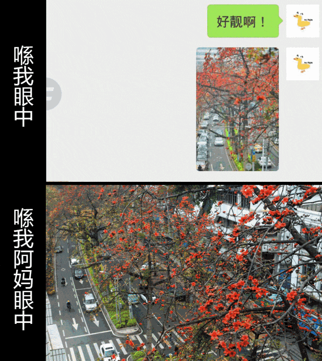 從前有個廣東阿媽，日日諗住點慳家