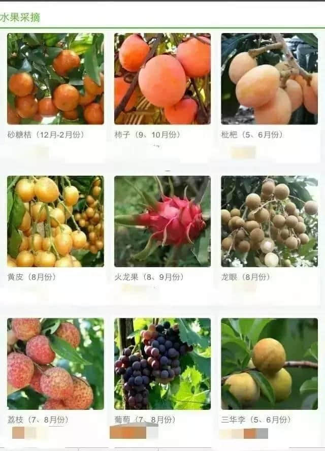 人均88元承包高顏值別墅！泡溫泉+燒烤+麻將+唱k+開趴…2天1夜high翻天！
