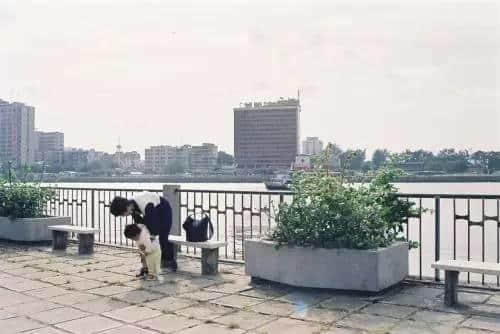 拆唔走嘅廣州舊記憶，這么近那么遠(yuǎn)……