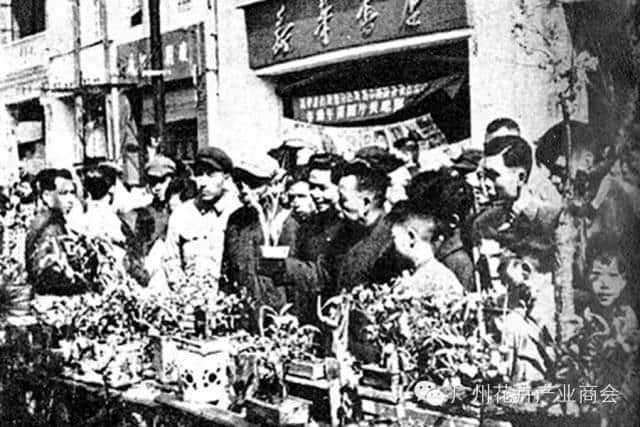 點解廣州人過年唔鐘意睇春晚？因為我哋鐘意行花街咯！