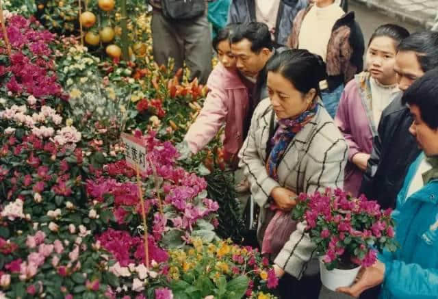 點解廣州人過年唔鐘意睇春晚？因為我哋鐘意行花街咯！